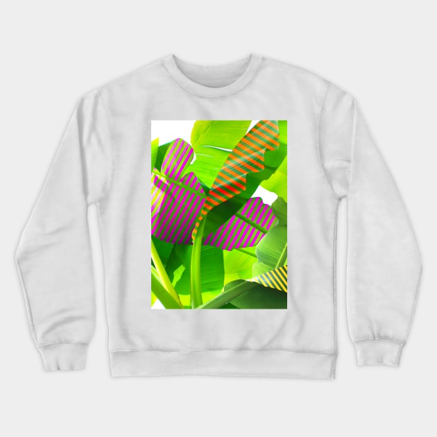 Banana stripes Crewneck Sweatshirt by fokafoka